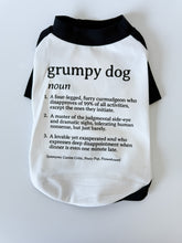 Load image into Gallery viewer, Definition of a Grumpy Dog Raglan Style Dog Shirt