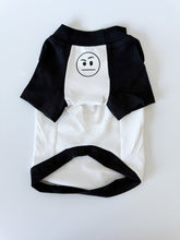 Load image into Gallery viewer, Definition of a Grumpy Dog Raglan Style Dog Shirt