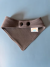 Load image into Gallery viewer, Squirrel Patrol Embroidered Bandana