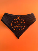 Load image into Gallery viewer, No Tricks, Just Attitude Embroidered Bandana