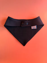 Load image into Gallery viewer, Here for the Treats, Not the Tricks Embroidered Bandana