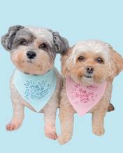 Load image into Gallery viewer, Create Your Own Customized Doodle Bandana