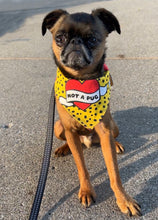 Load image into Gallery viewer, Not a Pug Heart Bandana