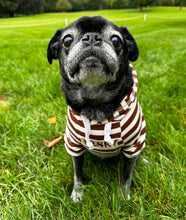 Load image into Gallery viewer, Henry's Striped Lightweight Hoodie