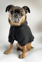 Load image into Gallery viewer, Probably Grumpy Embroidered Dog Hoodie
