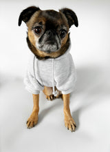Load image into Gallery viewer, Grumpy Forever Embroidered Dog Hoodie
