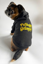 Load image into Gallery viewer, Probably Grumpy Embroidered Dog Hoodie
