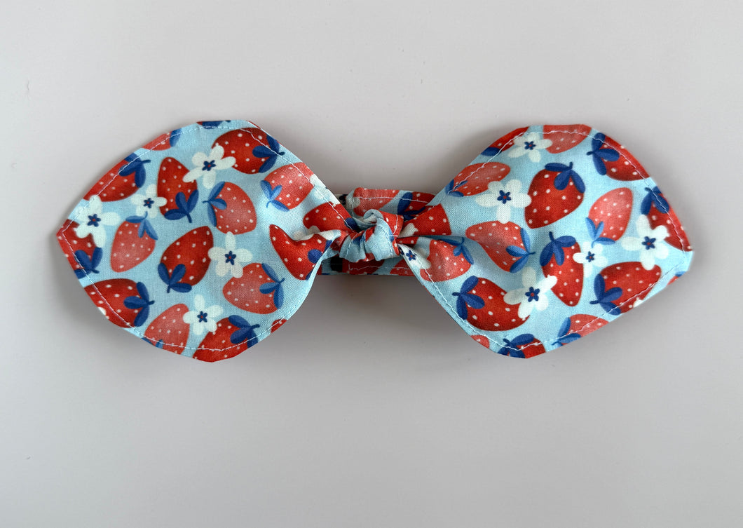 🍓 Strawberry Fields Cravat