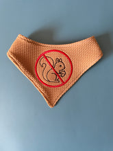 Load image into Gallery viewer, No Squirrels Allowed Embroidered Bandana
