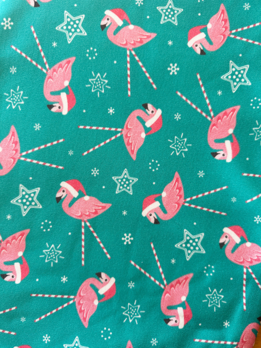 Holiday Flamingo Raglan Style Shirt