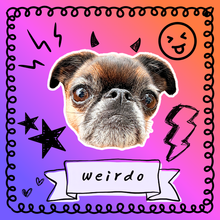 Load image into Gallery viewer, Doodles Portrait Keychain/Bag Charm
