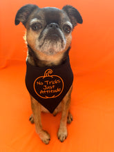 Load image into Gallery viewer, No Tricks, Just Attitude Embroidered Bandana
