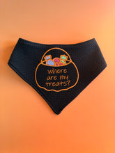 Load image into Gallery viewer, Where are my Treats? Embroidered Bandana
