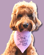 Load image into Gallery viewer, Create Your Own Customized Doodle Bandana
