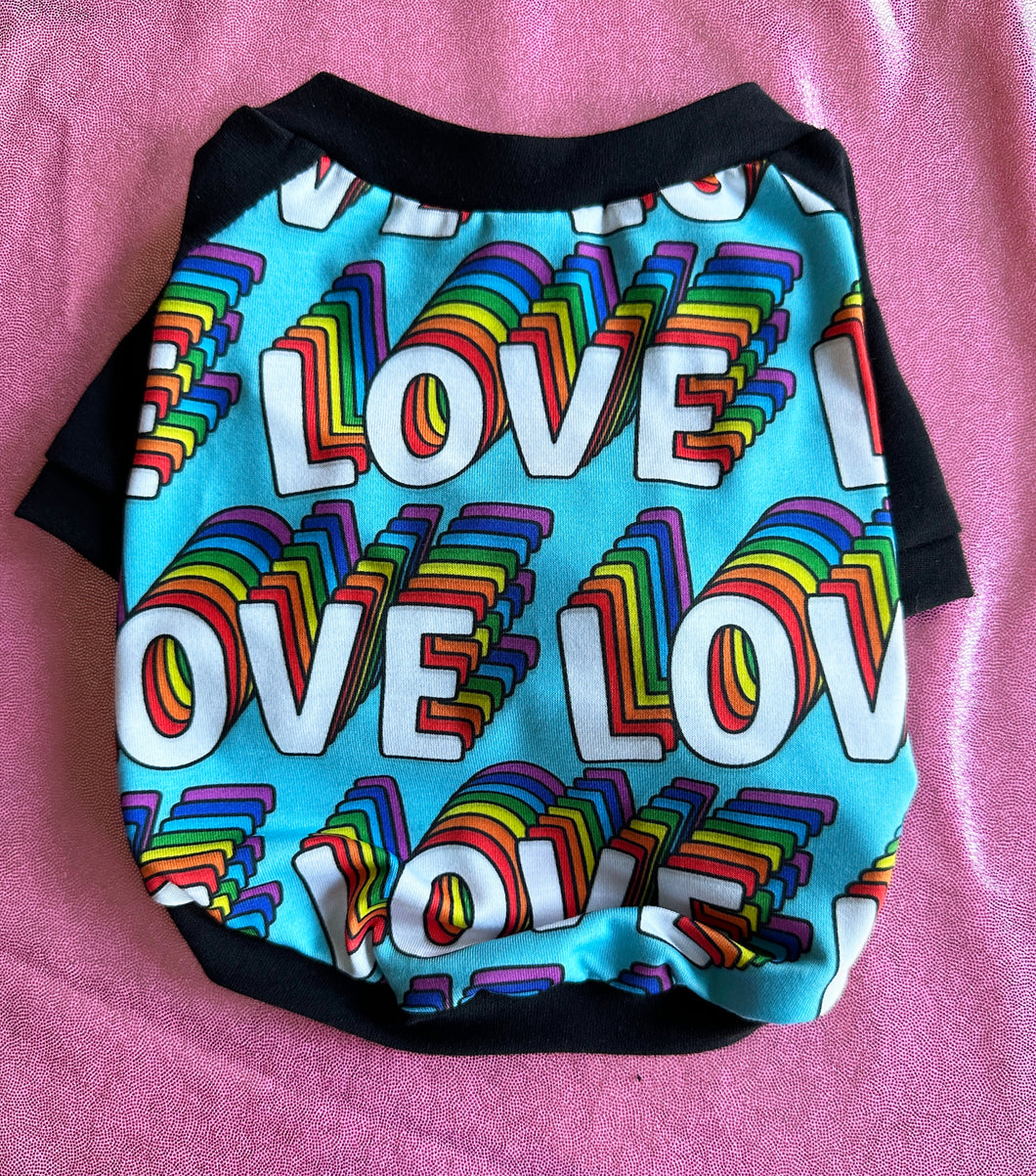 Rainbow Love Raglan Style Shirt