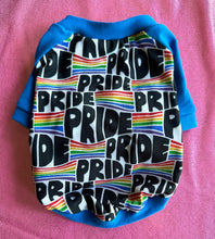 Load image into Gallery viewer, Rainbow Pride Raglan Style Shirt
